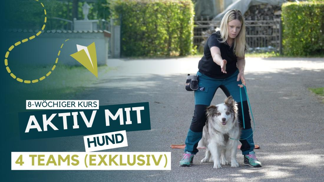 Aktiv mit Hund (Exklusiv)